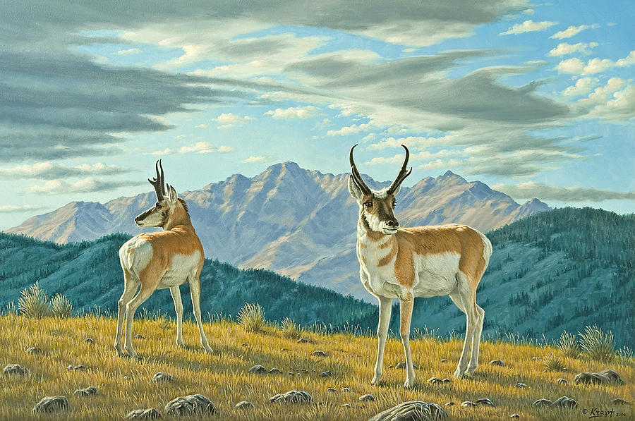 Wildlife Painting - Land of the Free by Paul Krapf