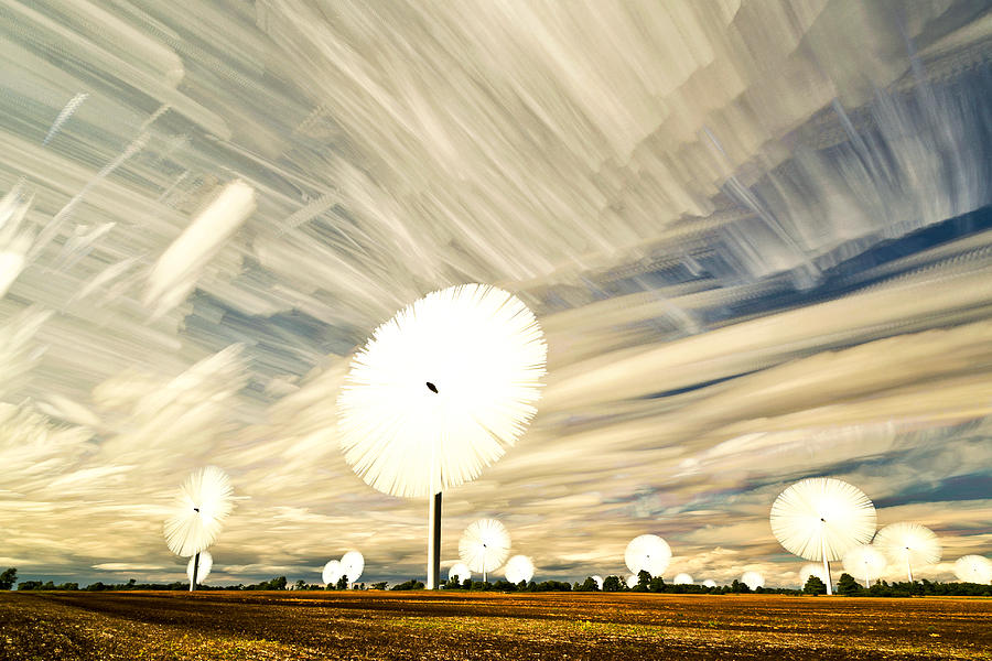 Land of the Giant Lollypops Photograph by Matt Molloy