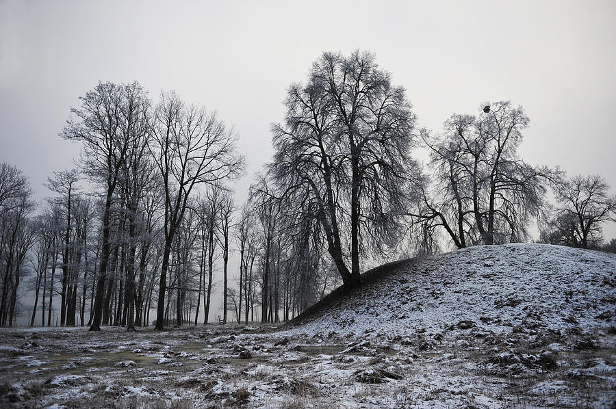 Land of Vikings Photograph by Randi Grace Nilsberg