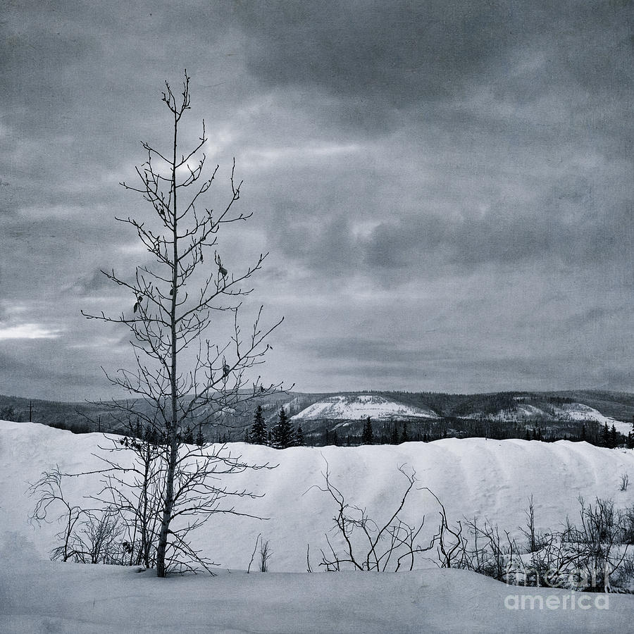 Winter Photograph - Land Shapes 15 by Priska Wettstein