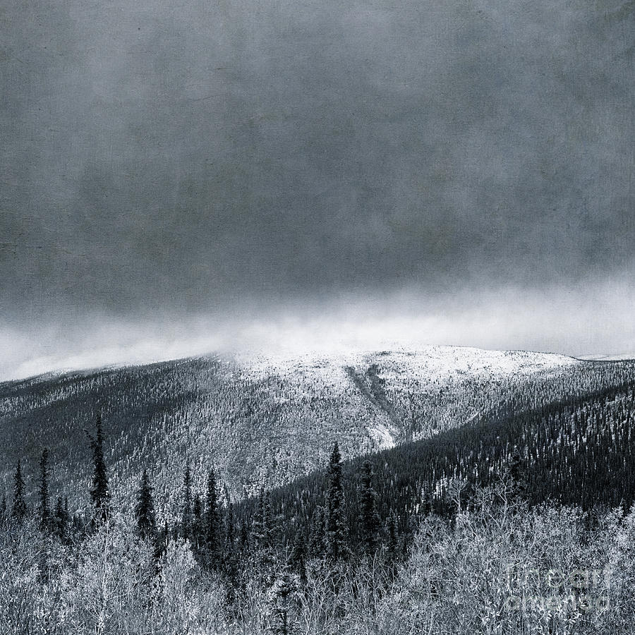 Winter Photograph - Land Shapes 3 by Priska Wettstein