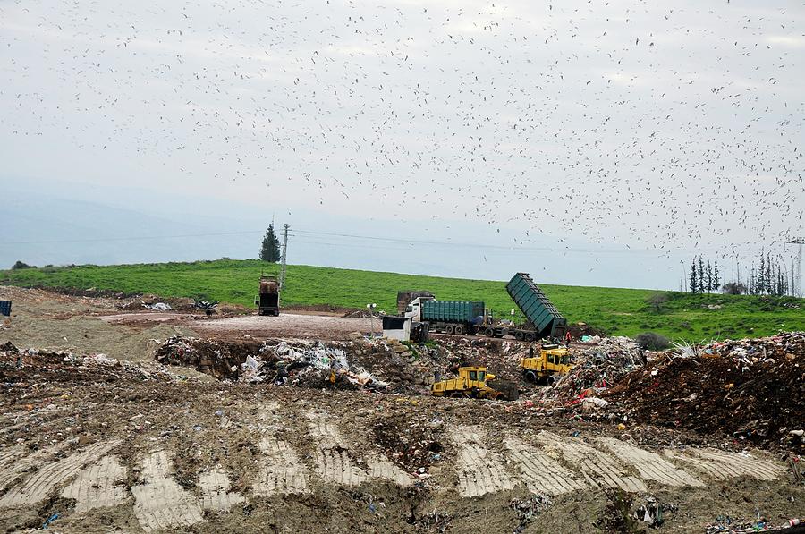 Landfill Tractors Spread Deposited Waste Photograph by Photostock-israel/science Photo Library