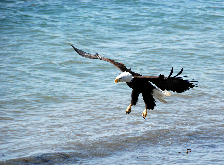 Beach Photograph - Landing by Angela Ford