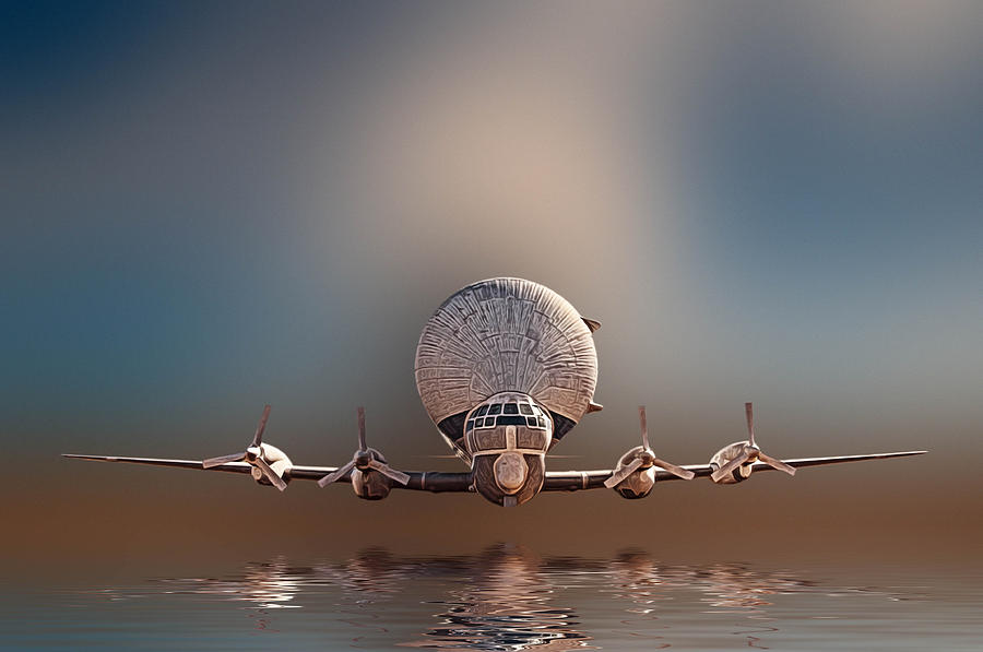 Landing Photograph by Maria Coulson