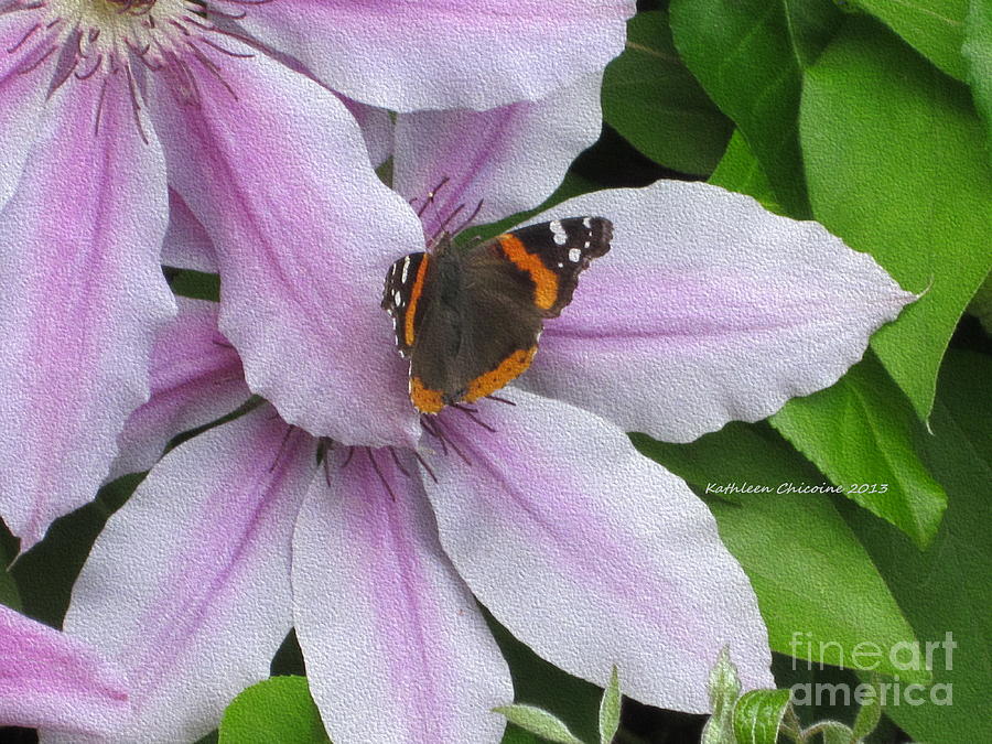 Butterfly Photograph - Landing Pad by Kathie Chicoine