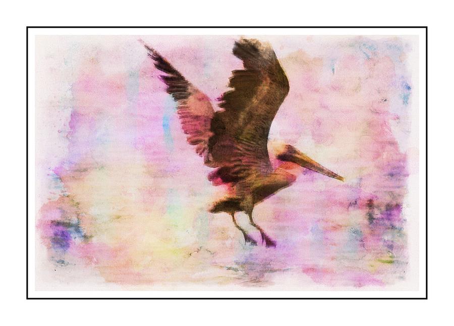 Landing Pelican Colorwash Photograph by Alice Gipson