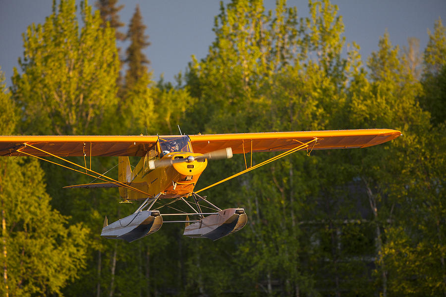 Anchorage Photograph - Landing Super Cub by Tim Grams