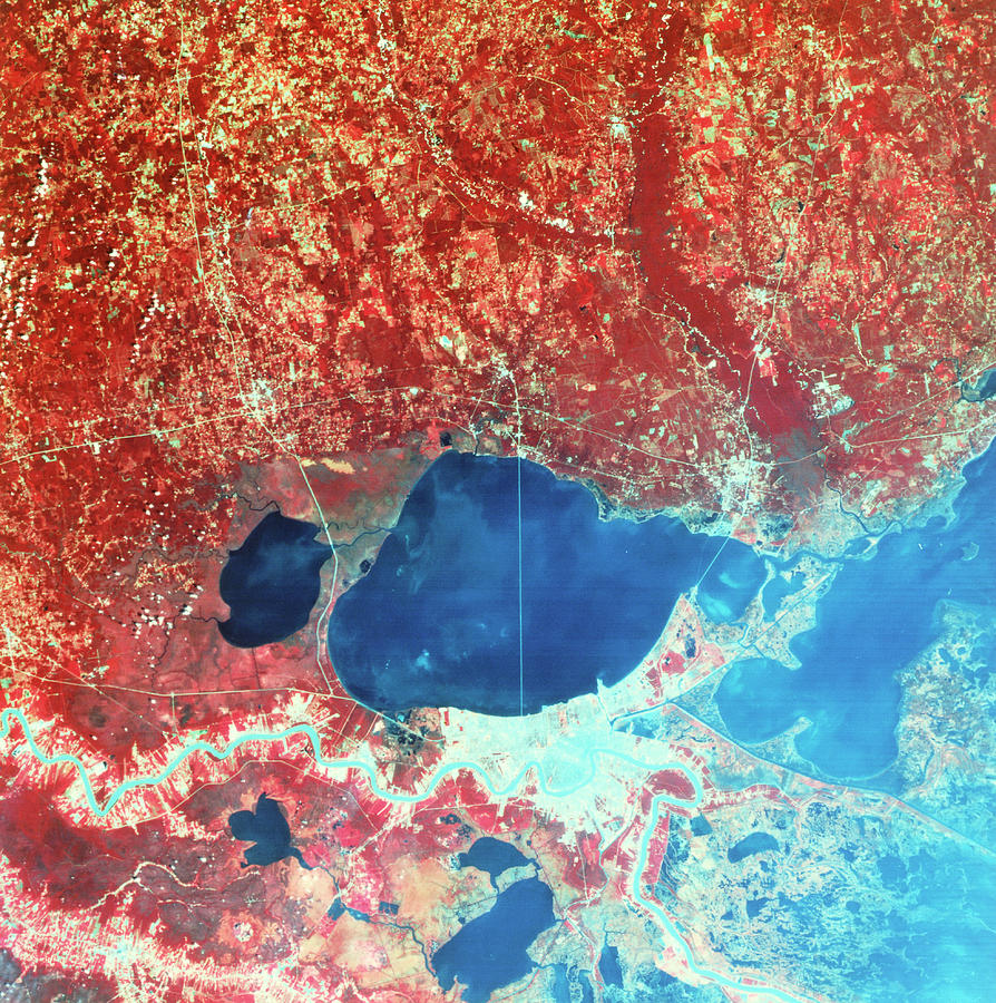 Landsat-4 Thematic Mapper Showing Gulf Coast Photograph by Nasa/science ...