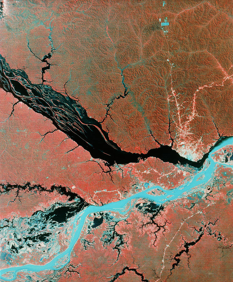 Landsat Image Of Confluence Of Amazon & Rio Negro Photograph by Mda Information Systems/science Photo Library
