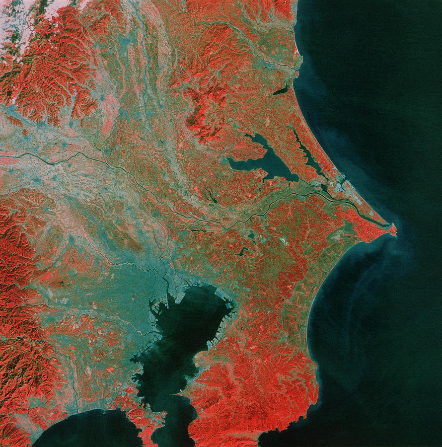 Landsat Image Of Tokyo Photograph by Mda Information Systems/science Photo Library