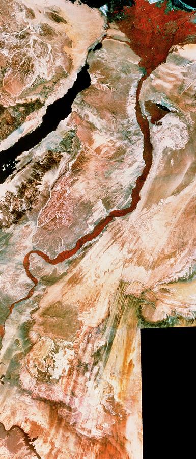 Landsat Mosaic Of River Nile And Delta Photograph by Mda Information Systems/science Photo Library