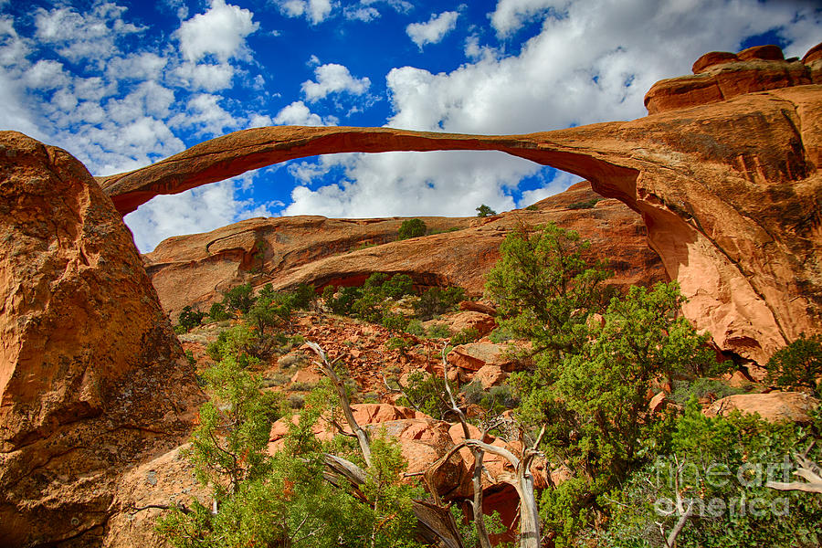 Landscape Arch One Photograph by Rick Bragan