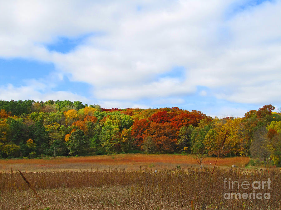 Fall Photograph - Landscape Featuring Colorful Fall Foliage  by Minding My  Visions by Adri and Ray
