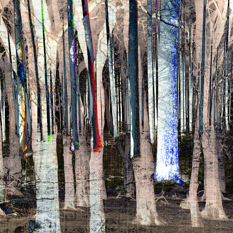Landscape Forest Trees Digital Art by Mary Clanahan