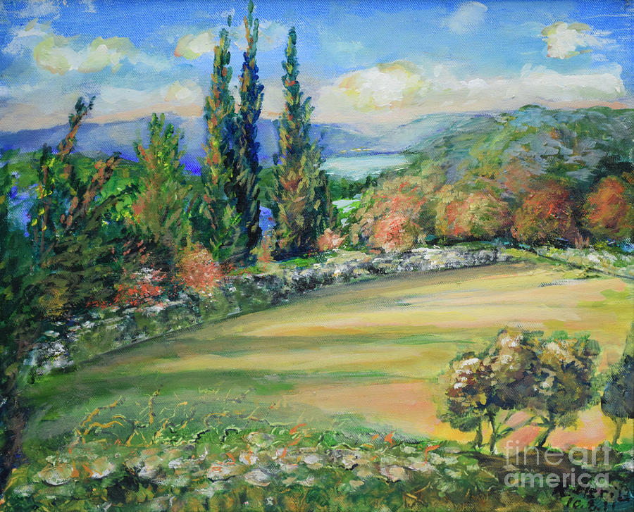 Summer Painting - Landscape From Kavran by Raija Merila