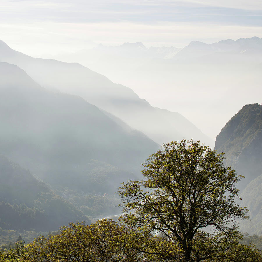 Landscape In Fog by Fine Art Nature Photography