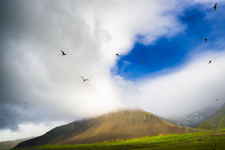 Landscape in Iceland with birds in the sky Photograph by Matthias Hauser