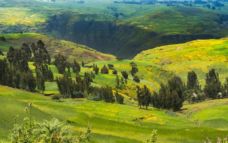 Landscape In Simien Mountain Photograph by Keren Su Landscape In Simien Mountain Photograph by Keren Su