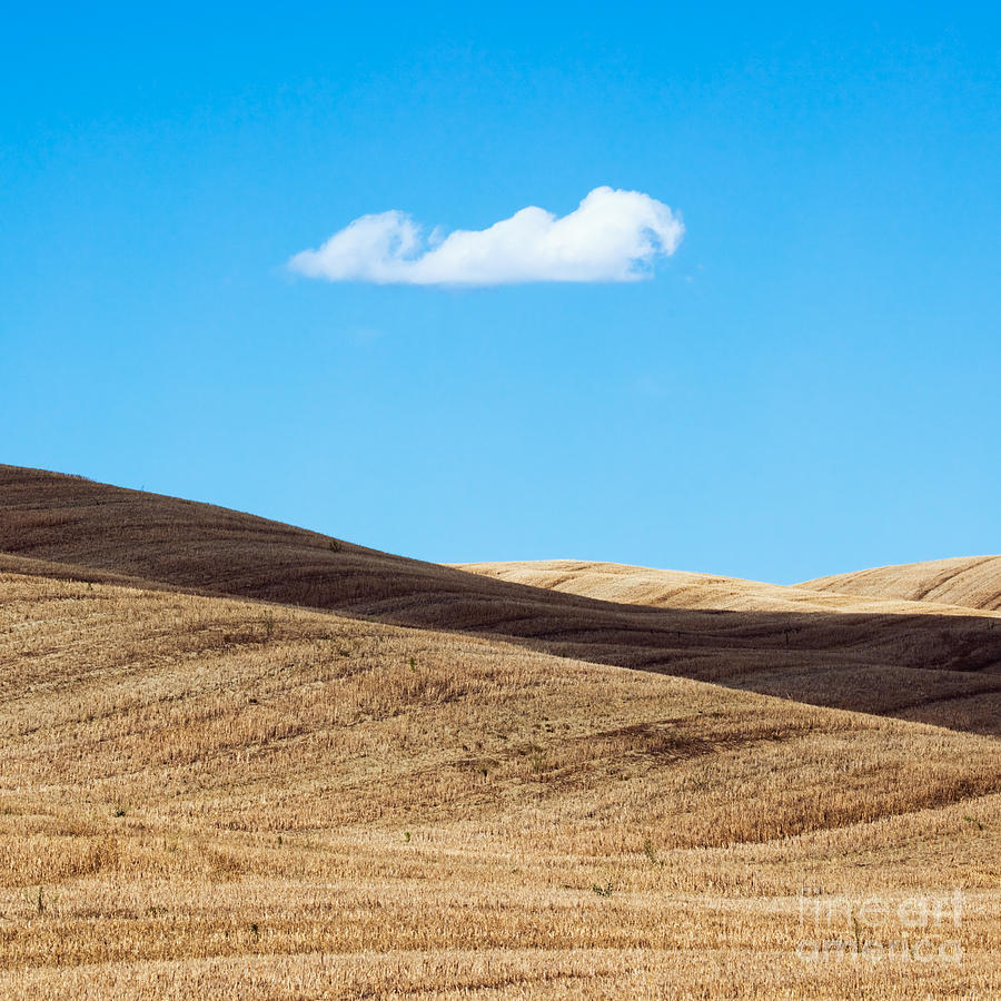 Landscape in summer Tuscany Italy Photograph by Matteo Colombo