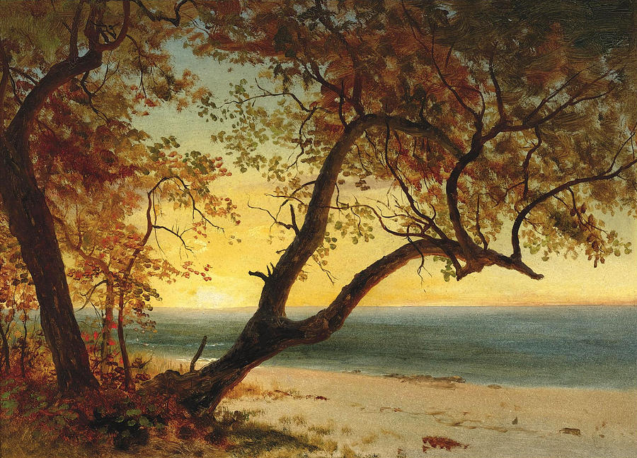 Landscape in the Bahamas Painting by Albert Bierstadt