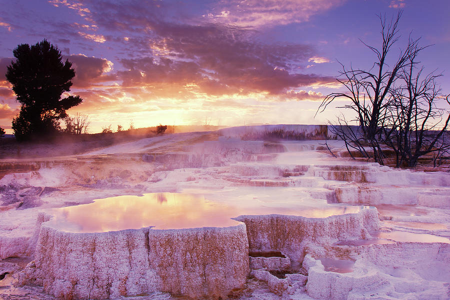 Landscape Mammoth Hot Springs In Photograph by Jtbaskinphoto