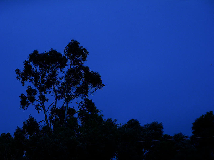 Blue Landscape Photograph by Mark Blauhoefer
