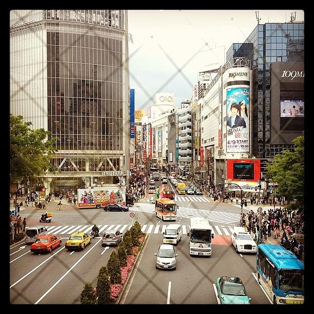 Landscape Photograph - #landscape 
Shibuya by Tokyo Sanpopo