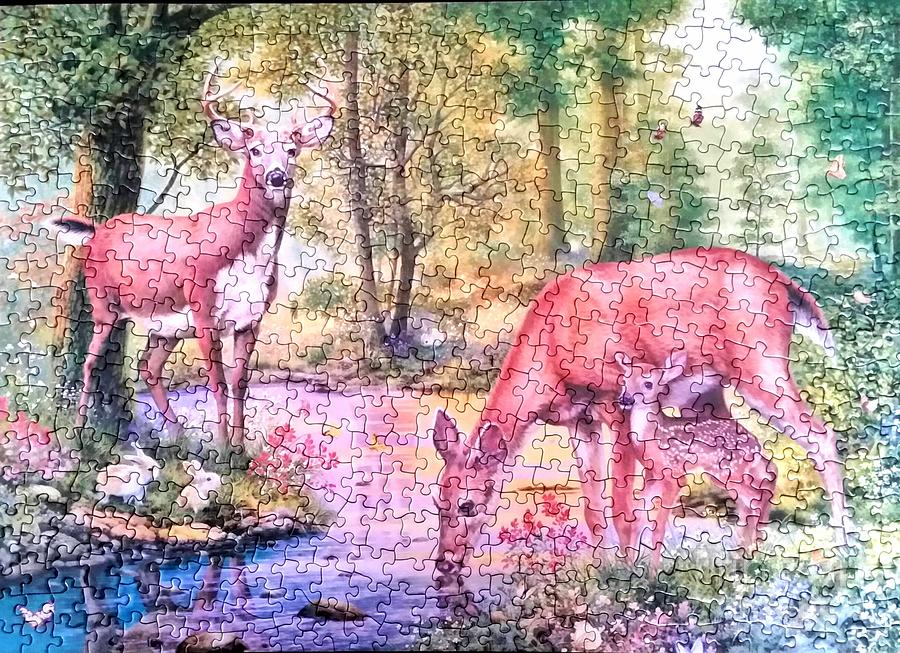 Deer Photograph - Landscape of puzzle by Rose Wang