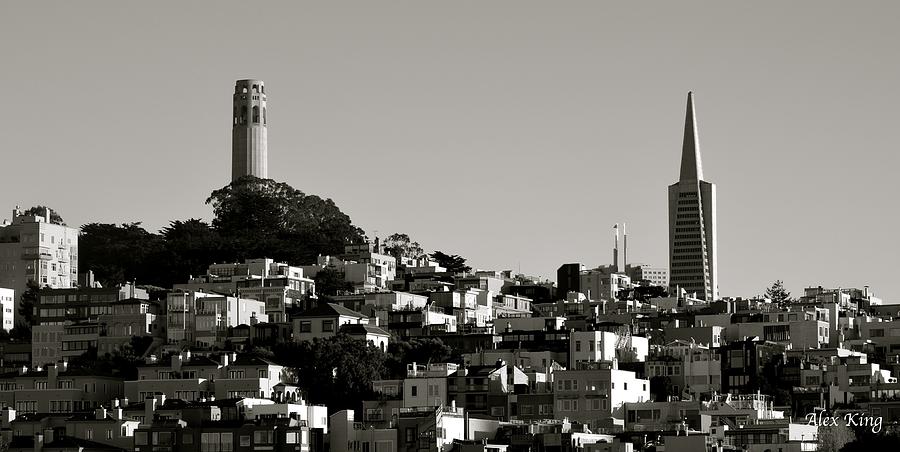 Landscape of San Francisco Photograph by Alex King