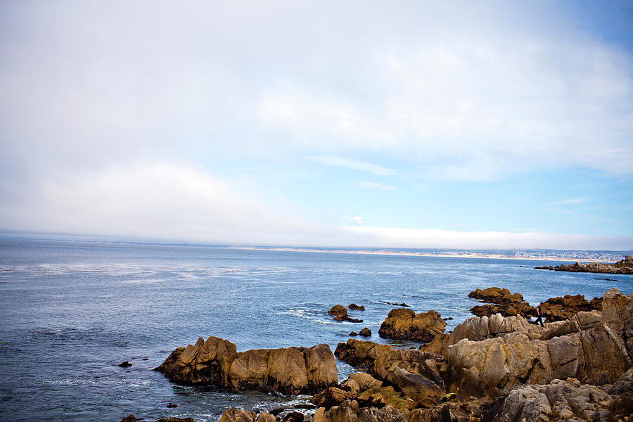 Landscape Of The Monterey California Photograph by Adam Hester