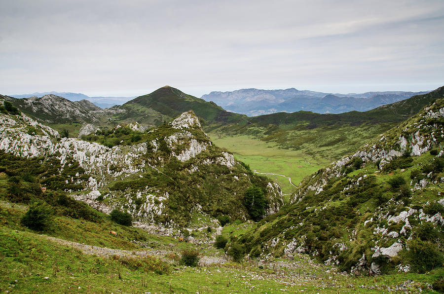 Landscape Of The Picos De Europa Photograph by Megan Ahrens