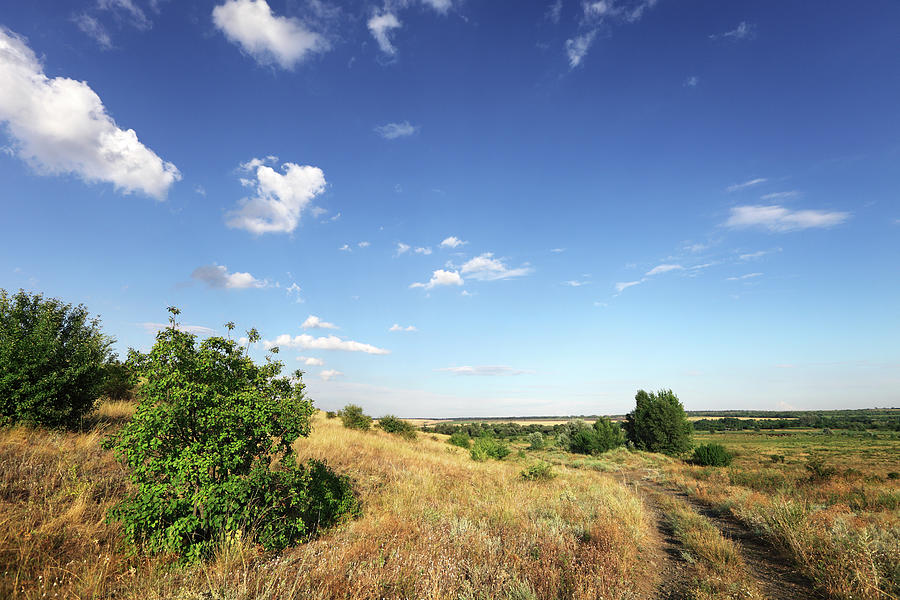Landscape Photograph by Savushkin