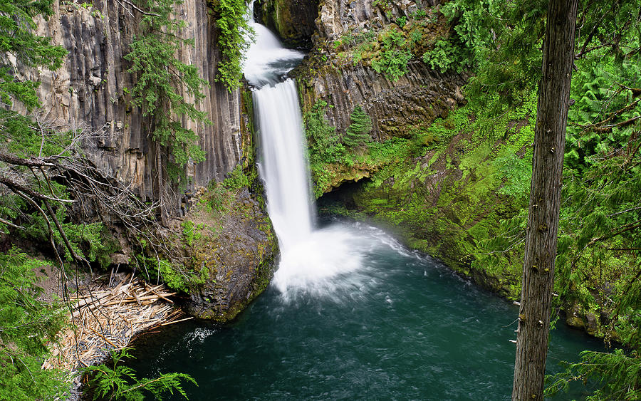 Landscape View of Toketee Falls Photograph by Greg Nyquist