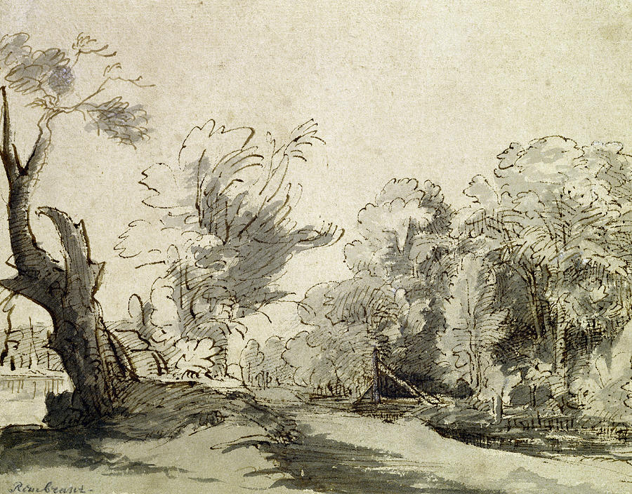 Rembrandt Drawing - Landscape With A Path, An Almost Dead Tree On The Left And A Footbridge Leading To A Farm by Rembrandt Harmensz van Rijn