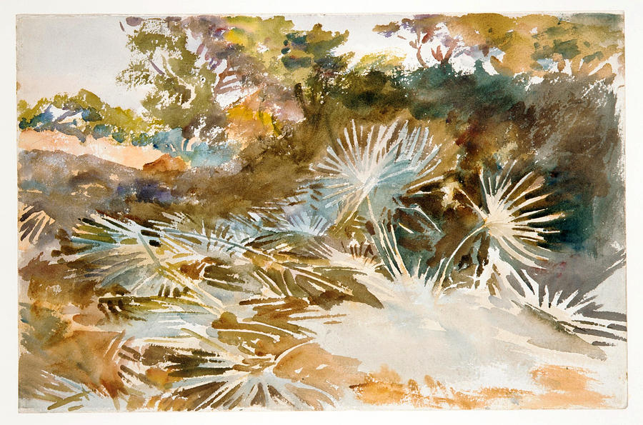 Landscape with Palmettos Painting by John Singer Sargent