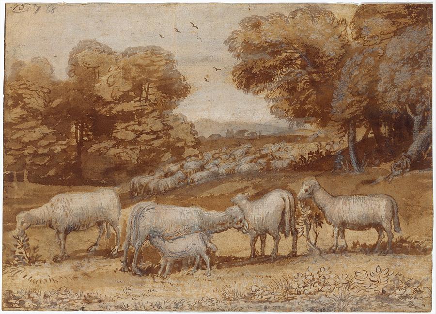 Black Chalk Drawing - Landscape With Sheep by Claude Lorrain
