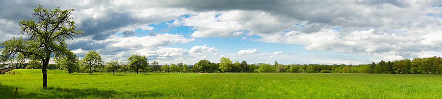 Landscape With Tree And Meadow Panorama Photograph