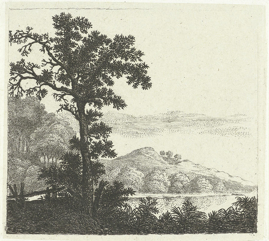 Landscape With Tree On A Riverbank, William Young Ottley Drawing by ...