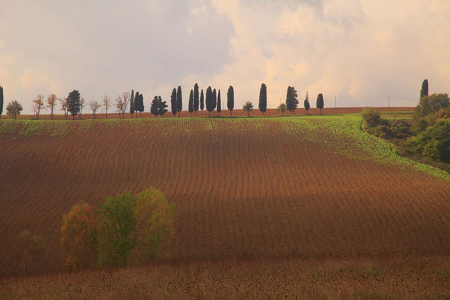 Landscaps As Seen In The Mugello Region Photograph by Caroyl La Barge