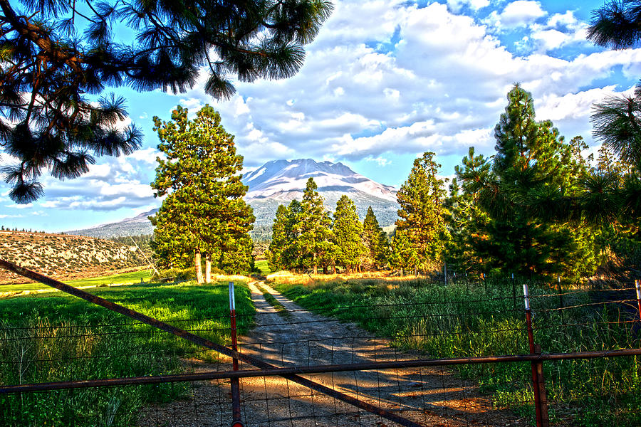 Lane to Mt Shasta Photograph by Randall Branham