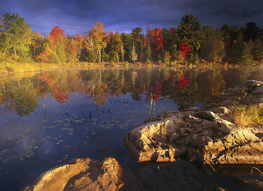 Lang Lake Fall Colors Ontario Canada Photograph by Tim Fitzharris