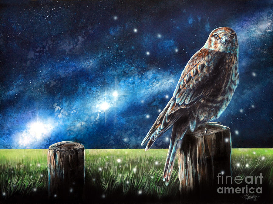 Falcon Painting - Languor by Lachri