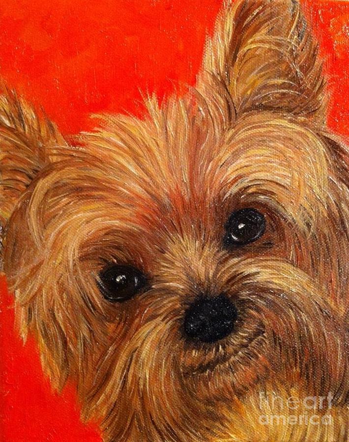 Yorkshire Terrier Painting - Lani by Ana Marusich-Zanor