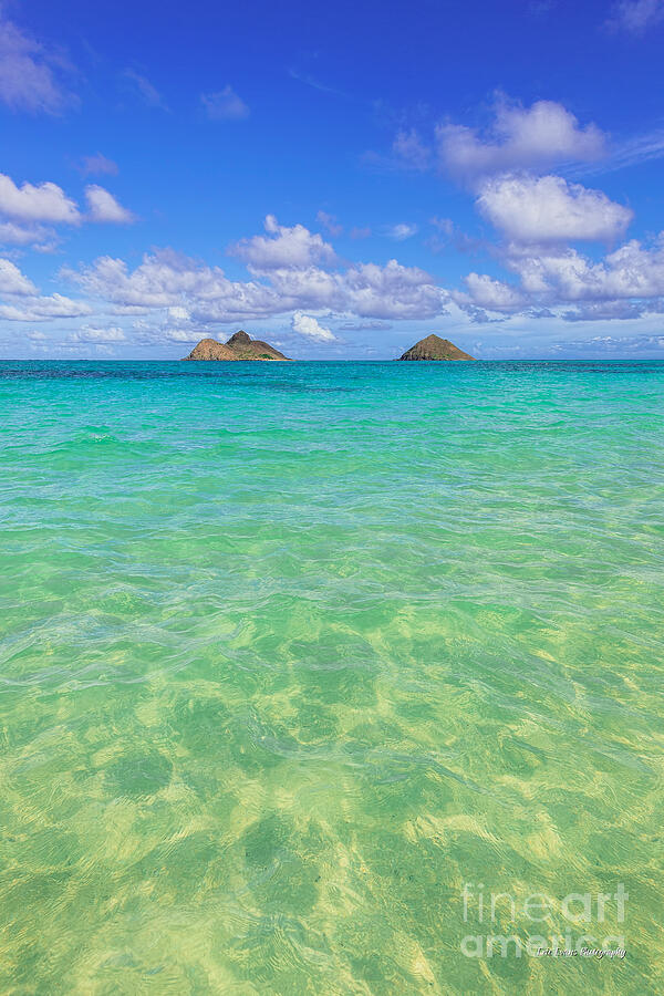 Lanikai Beach Crystal Clear Water Photograph by Aloha Art
