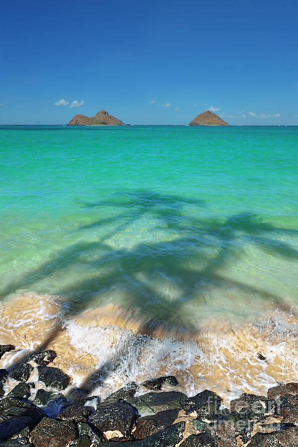 Lanikai Beach Photograph - Lanikai Beach Three Palm Shadows by Aloha Art
