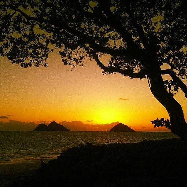 Hilife Photograph - Lanikai Sunrise #luckywelivehawaii by Brian Governale
