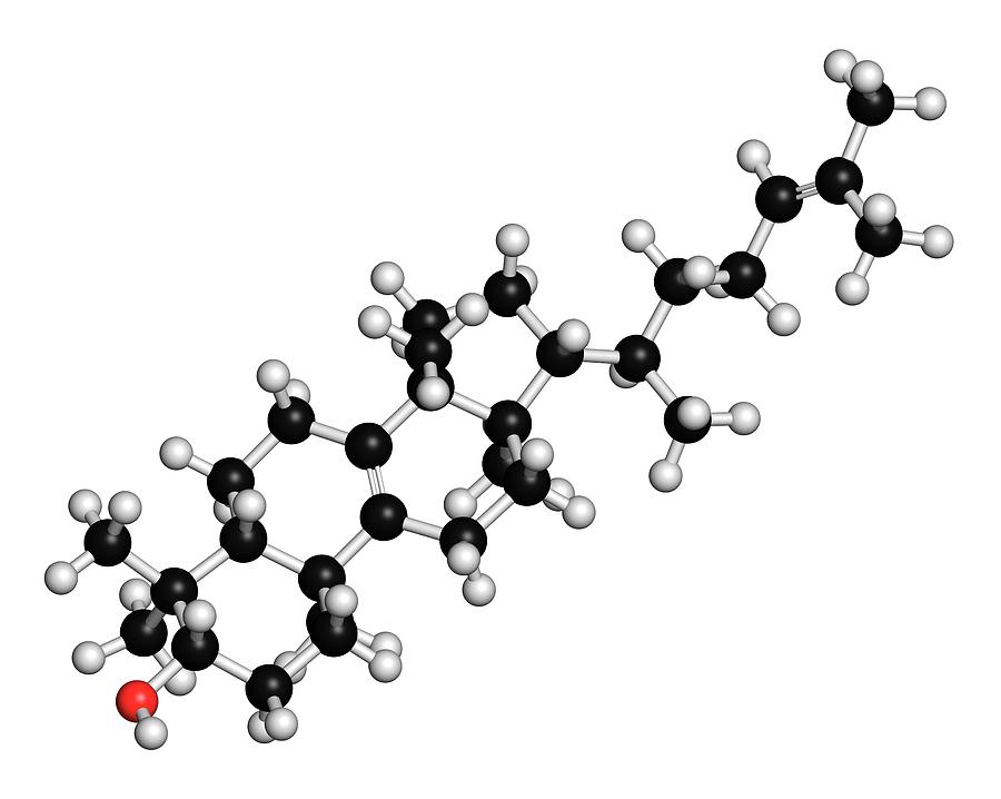 Lanosterol Molecule Photograph by Molekuul/science Photo Library - Fine ...