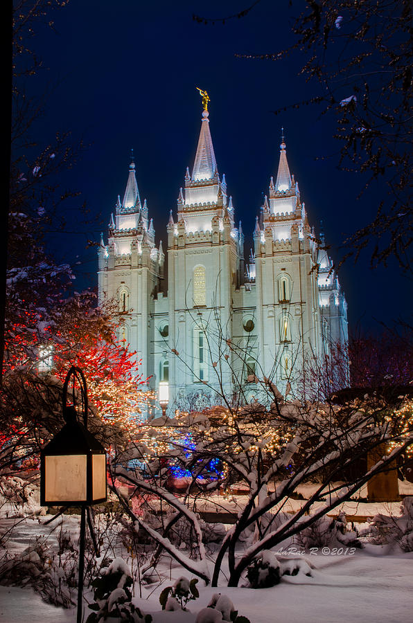 Lantern Bush Slc Temple Photograph By La Rae Roberts