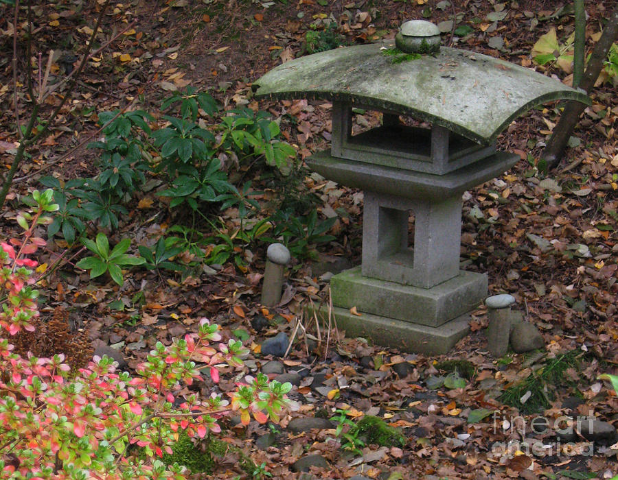 Lantern in Yashiro Japanese Garden Photograph by Ellen Miffitt