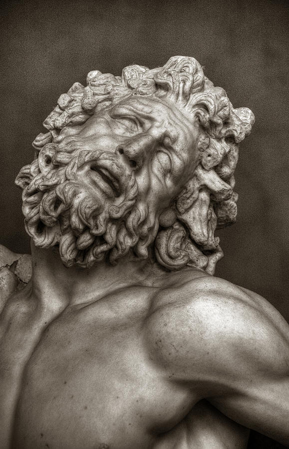 Laocoon Photograph by Michael Kirk